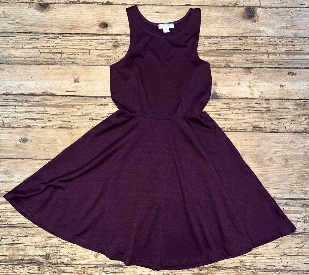 Cotton On Women’s XS Purple Sleeveless Dress With Ruching NWOT